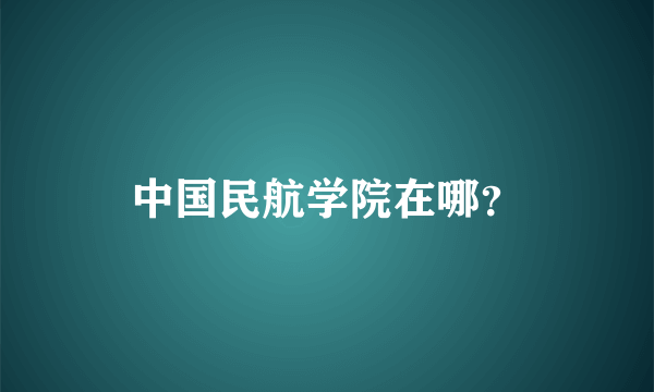 中国民航学院在哪？