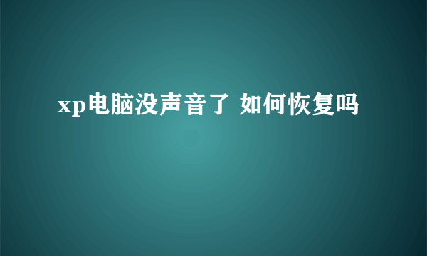 xp电脑没声音了 如何恢复吗