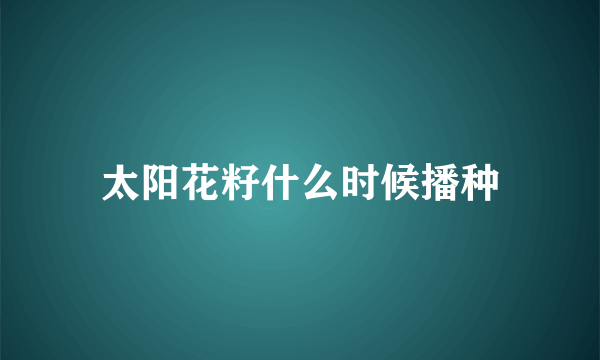 太阳花籽什么时候播种