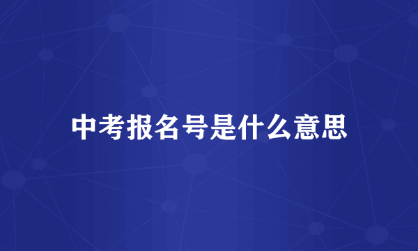 中考报名号是什么意思