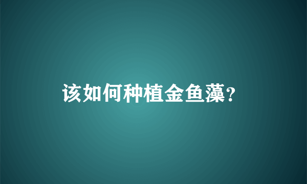 该如何种植金鱼藻？