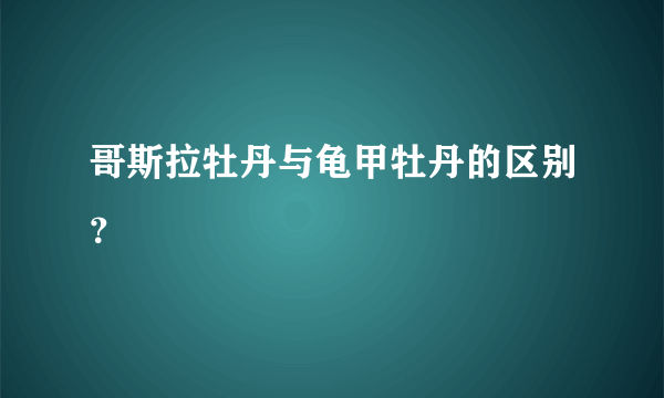 哥斯拉牡丹与龟甲牡丹的区别？