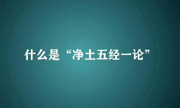 什么是“净土五经一论”