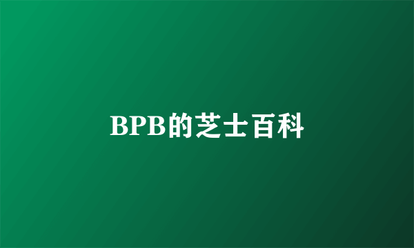 BPB的芝士百科