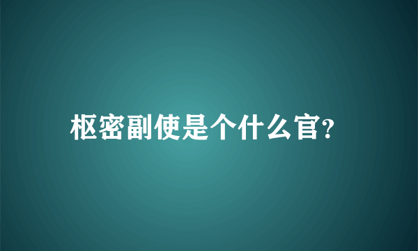 枢密副使是个什么官？