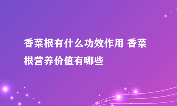 香菜根有什么功效作用 香菜根营养价值有哪些