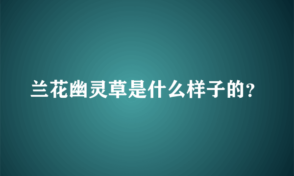 兰花幽灵草是什么样子的？