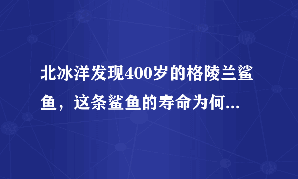 北冰洋发现400岁的格陵兰鲨鱼，这条鲨鱼的寿命为何这么长？