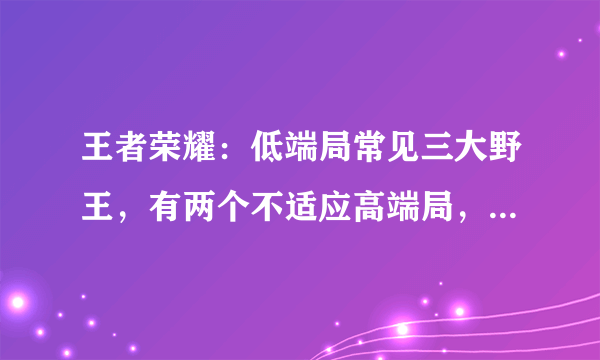 王者荣耀：低端局常见三大野王，有两个不适应高端局，为什么呢？