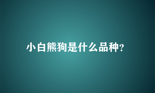 小白熊狗是什么品种？