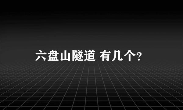 六盘山隧道 有几个？