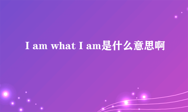 I am what I am是什么意思啊