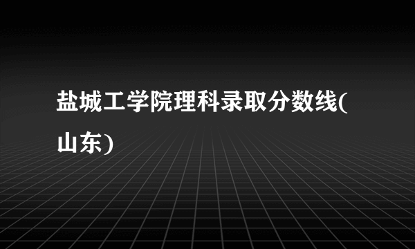 盐城工学院理科录取分数线(山东)