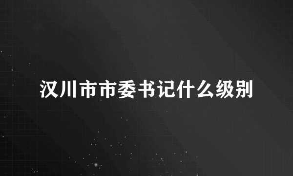 汉川市市委书记什么级别