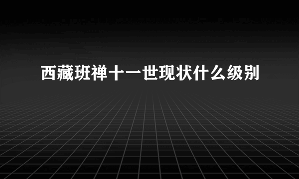 西藏班禅十一世现状什么级别