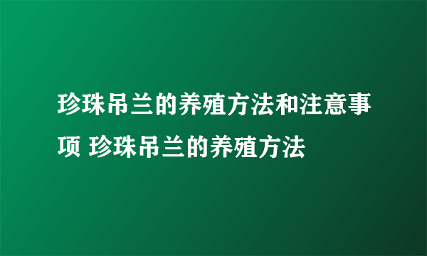 珍珠吊兰的养殖方法和注意事项 珍珠吊兰的养殖方法