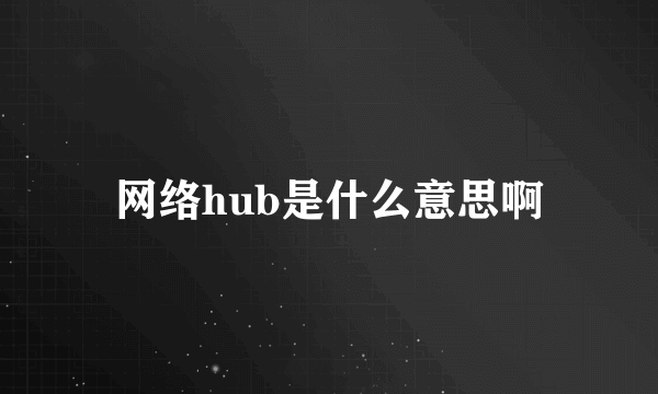 网络hub是什么意思啊