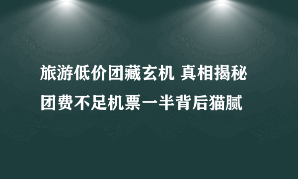 旅游低价团藏玄机 真相揭秘团费不足机票一半背后猫腻