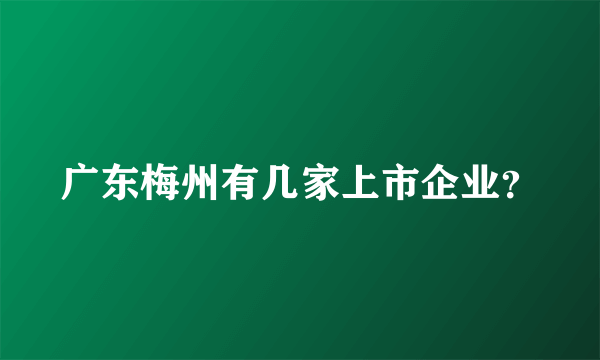 广东梅州有几家上市企业？