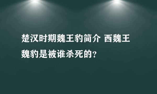 楚汉时期魏王豹简介 西魏王魏豹是被谁杀死的？