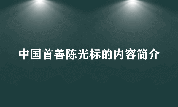 中国首善陈光标的内容简介