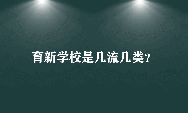 育新学校是几流几类？