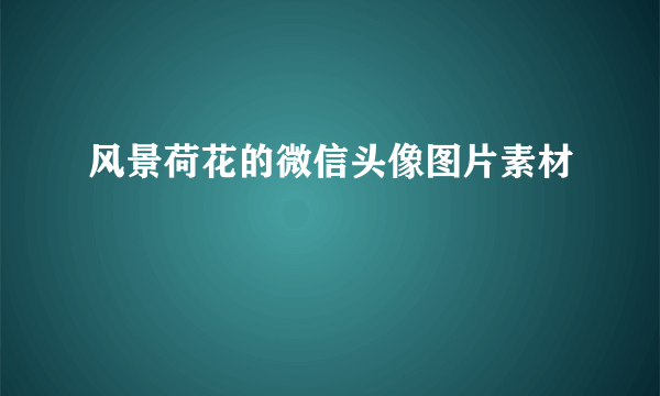 风景荷花的微信头像图片素材