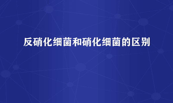 反硝化细菌和硝化细菌的区别