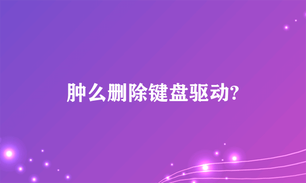 肿么删除键盘驱动?