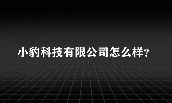 小豹科技有限公司怎么样？