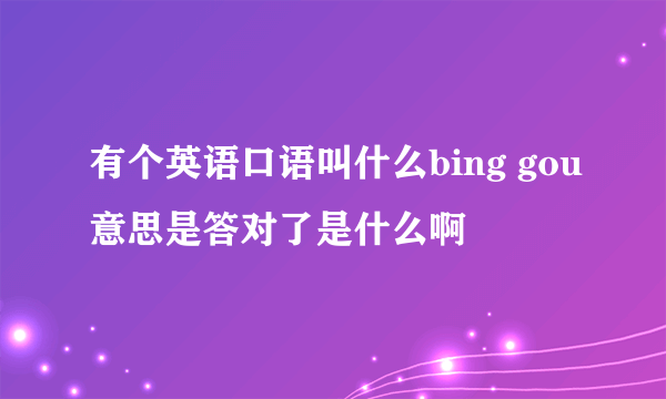 有个英语口语叫什么bing gou意思是答对了是什么啊