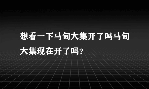 想看一下马甸大集开了吗马甸大集现在开了吗？