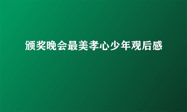 颁奖晚会最美孝心少年观后感