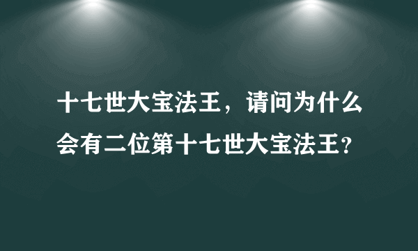 十七世大宝法王，请问为什么会有二位第十七世大宝法王？