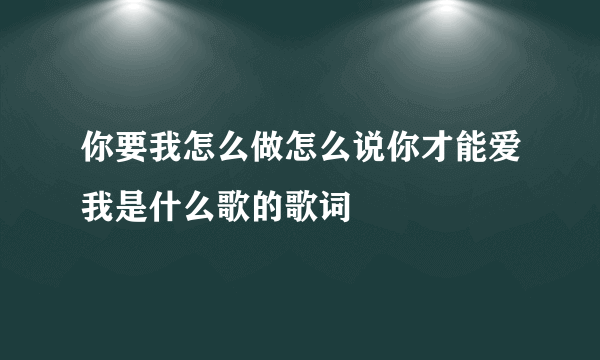 你要我怎么做怎么说你才能爱我是什么歌的歌词