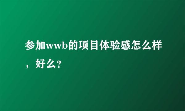 参加wwb的项目体验感怎么样，好么？