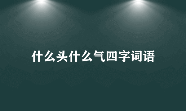 什么头什么气四字词语