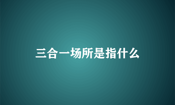 三合一场所是指什么