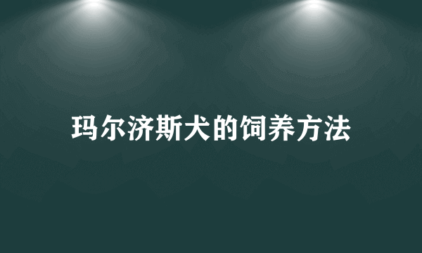 玛尔济斯犬的饲养方法