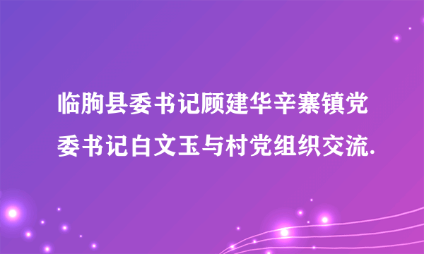 临朐县委书记顾建华辛寨镇党委书记白文玉与村党组织交流.