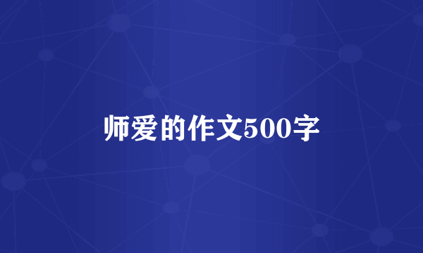 师爱的作文500字