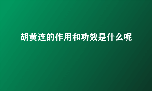 胡黄连的作用和功效是什么呢